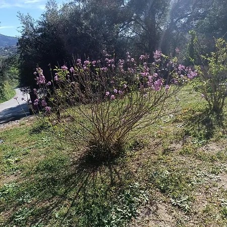 εξοχικό στο βιρο κέρκυρας * Kastanéa