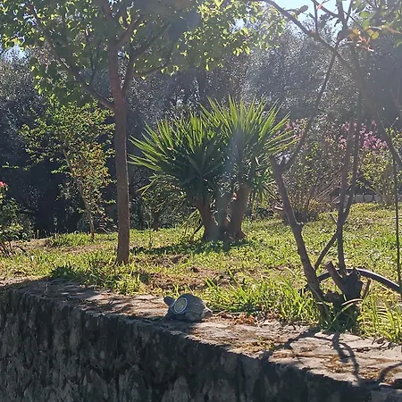 Homestay szállás εξοχικό στο βιρο κέρκυρας Kastanéa