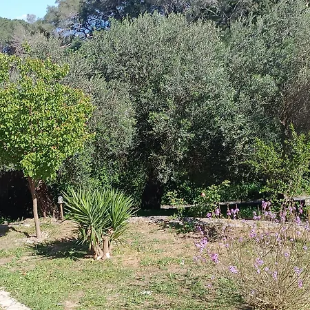 Homestay szállás εξοχικό στο βιρο κέρκυρας *