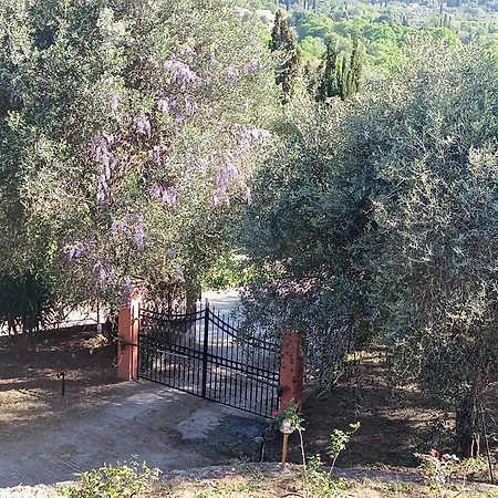εξοχικό στο βιρο κέρκυρας Homestay szállás *