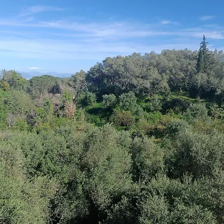 Homestay szállás εξοχικό στο βιρο κέρκυρας