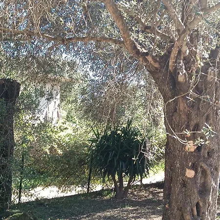 民宿 εξοχικό στο βιρο κέρκυρας *