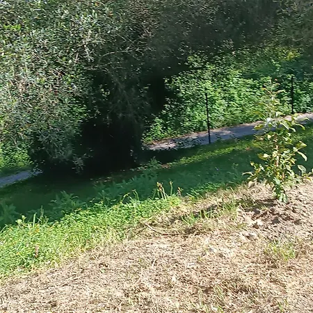 εξοχικό στο βιρο κέρκυρας 民宿 Kastanéa