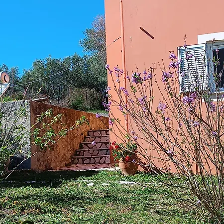εξοχικό στο βιρο κέρκυρας 民宿 Kastanéa